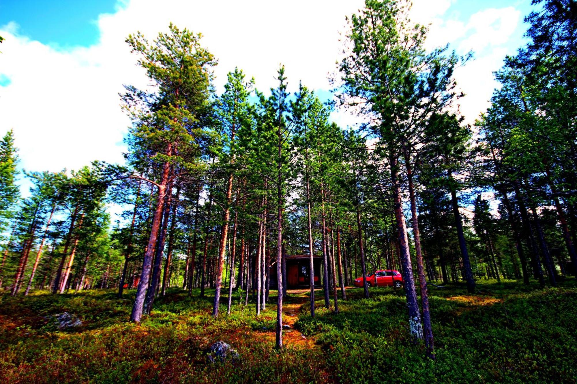 Ukonjaerven Holiday Village Івало Номер фото
