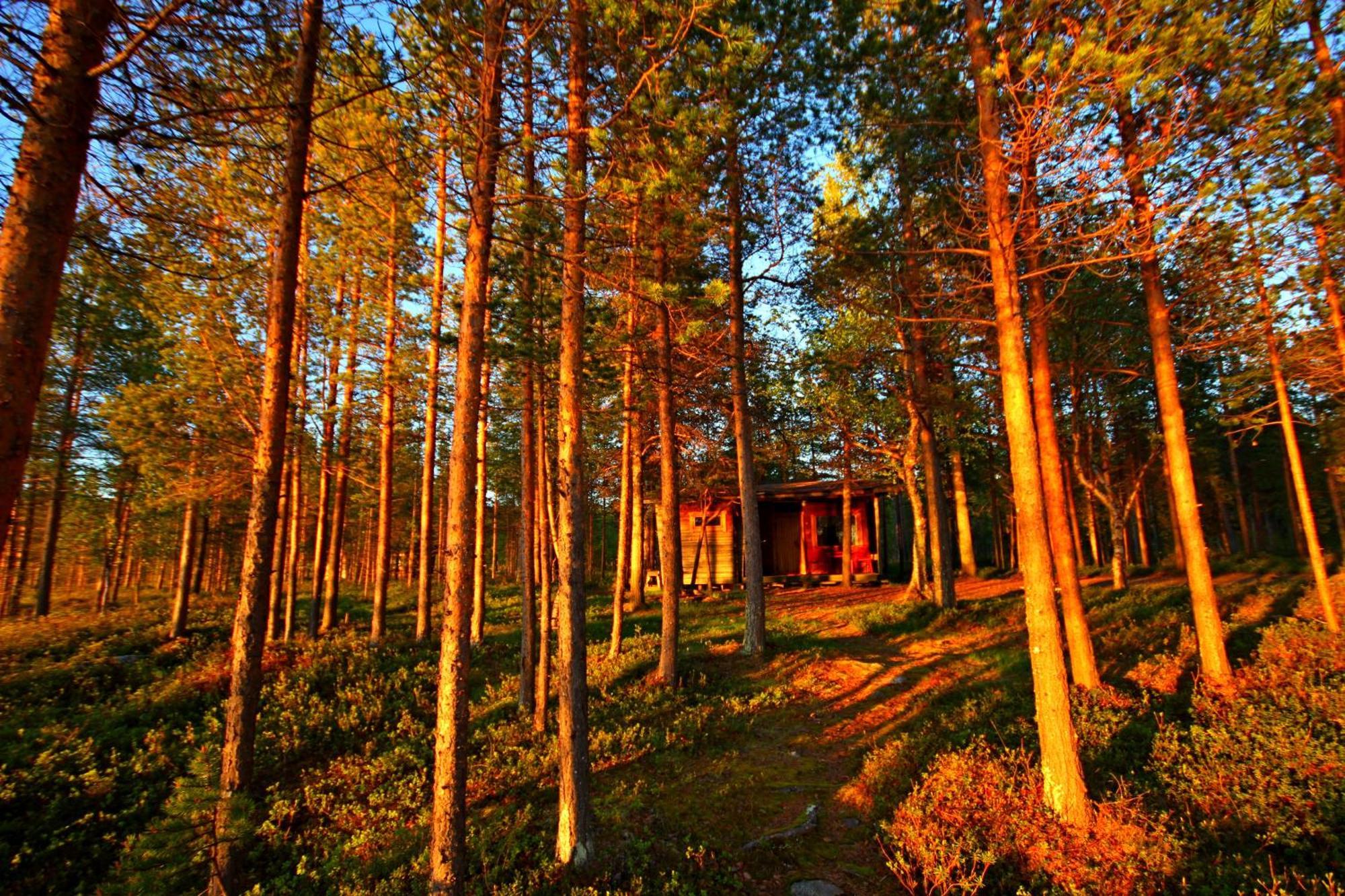 Ukonjaerven Holiday Village Івало Номер фото