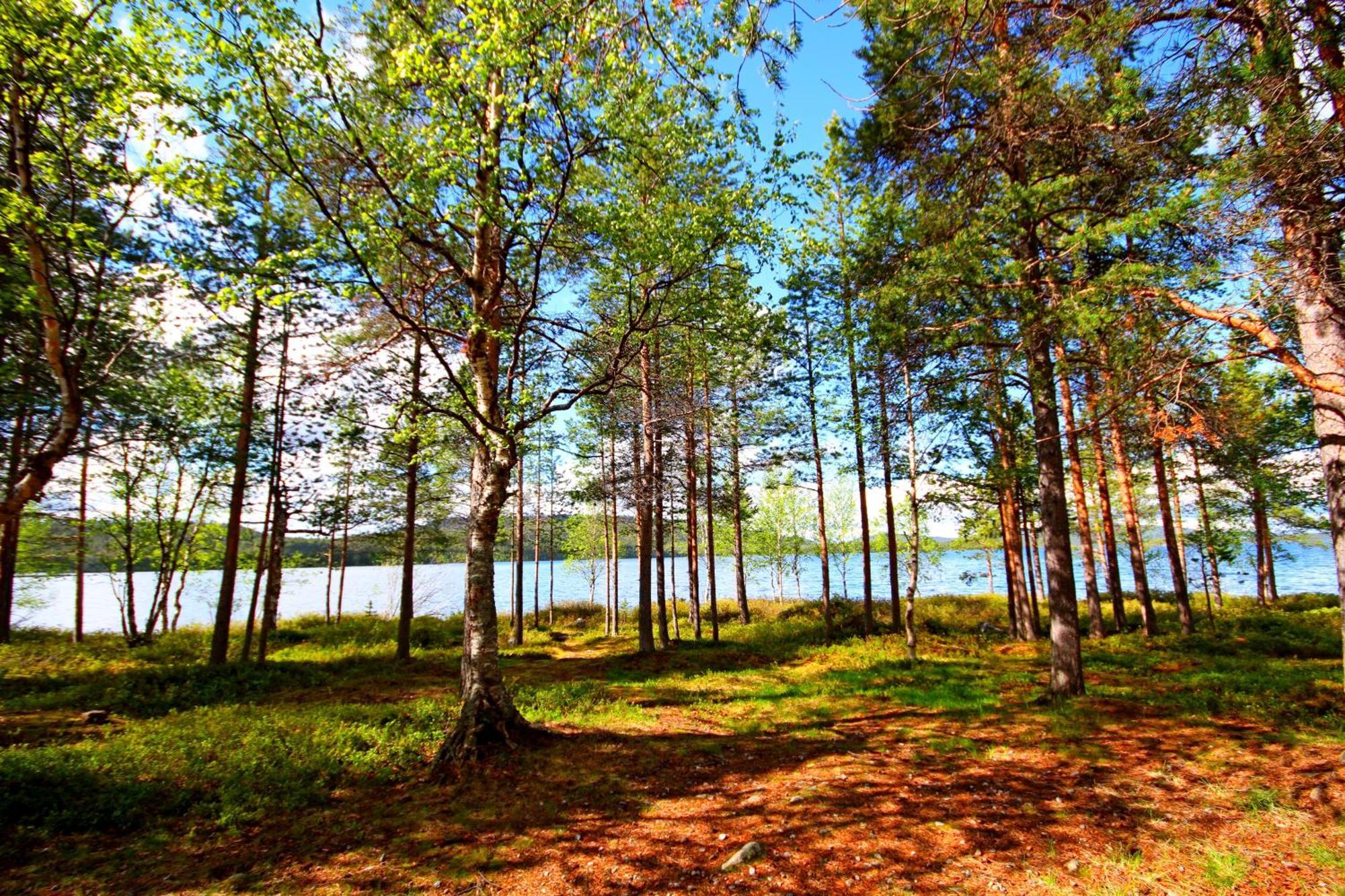 Ukonjaerven Holiday Village Івало Номер фото